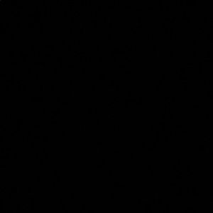 Meet your Posher, Victor